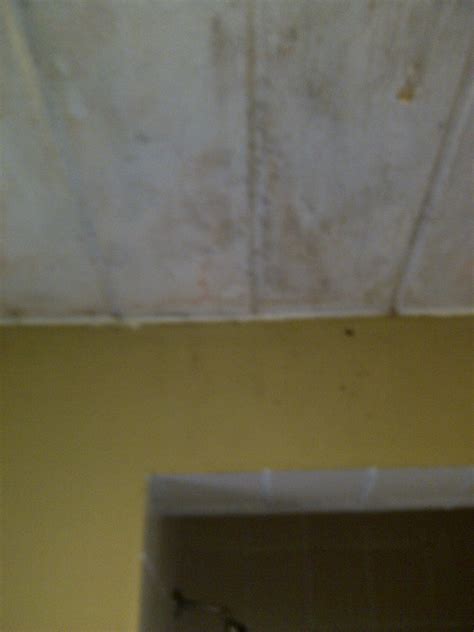 Ceiling mold is unsightly, unhealthy and a bit of a challenge to clean. http://tomlegrange.blogspot.com/