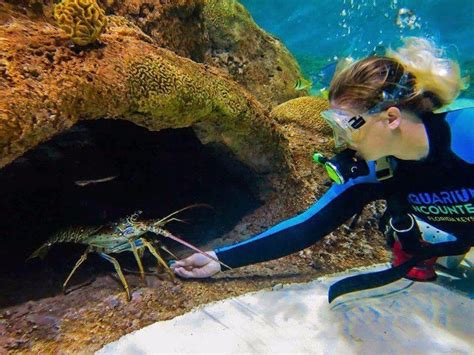 10 Best Snorkeling Spots In The Florida Keys Trips To Discover Best