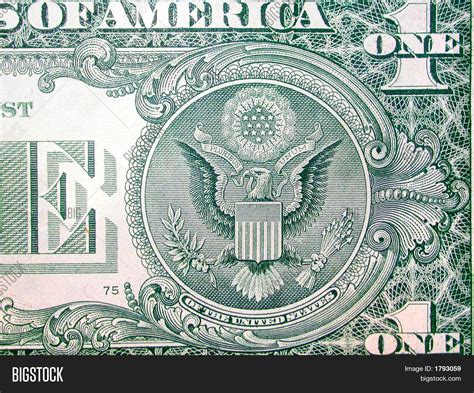 Back One Dollar Bill Image And Photo Free Trial Bigstock