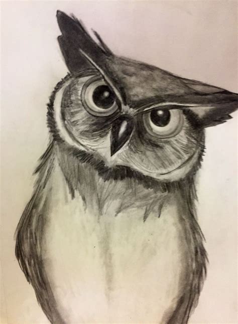 Pencil Drawings Of Owls Warehouse Of Ideas