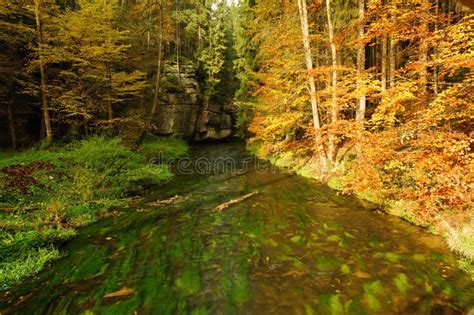 Autumn Colors River Stock Photo Image Of Scene River 120051594