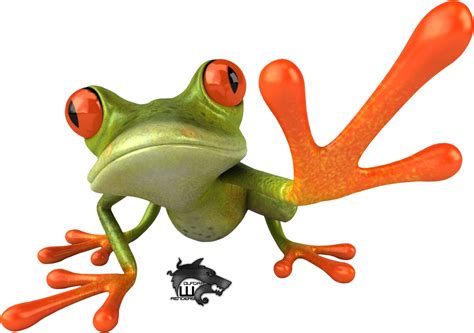 Frog Png Transparent Images Png All
