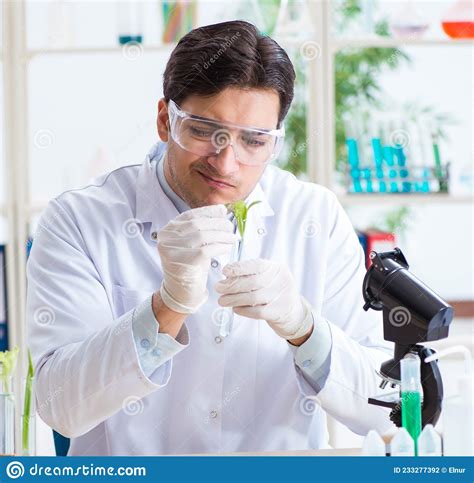 Bioquímico Masculino Trabajando En El Laboratorio De Plantas Foto De