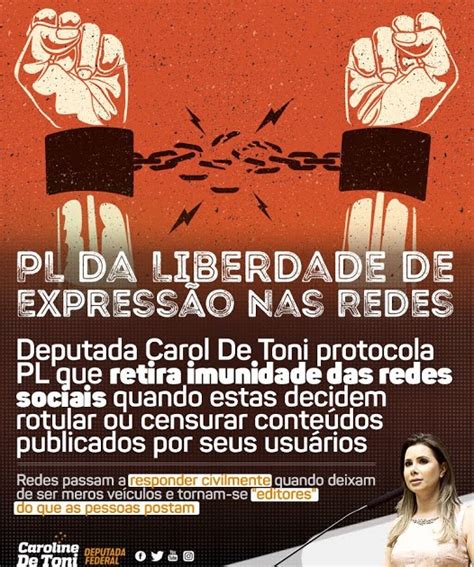 Deputada Apresenta Projeto De Lei Da Liberdade De Express O Nas Redes