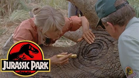 Why Was The Triceratops Sick In Jurassic Park Jurassic Park Deleted