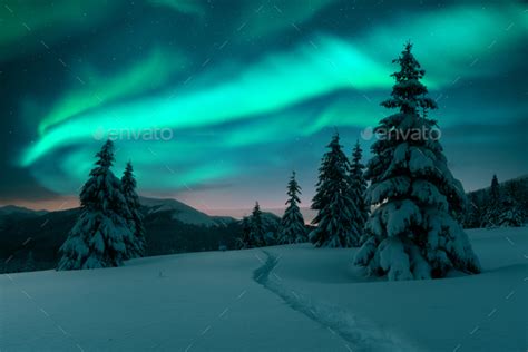 Northern Lights In Winter Forest Stock Photo By Ivankmit Photodune