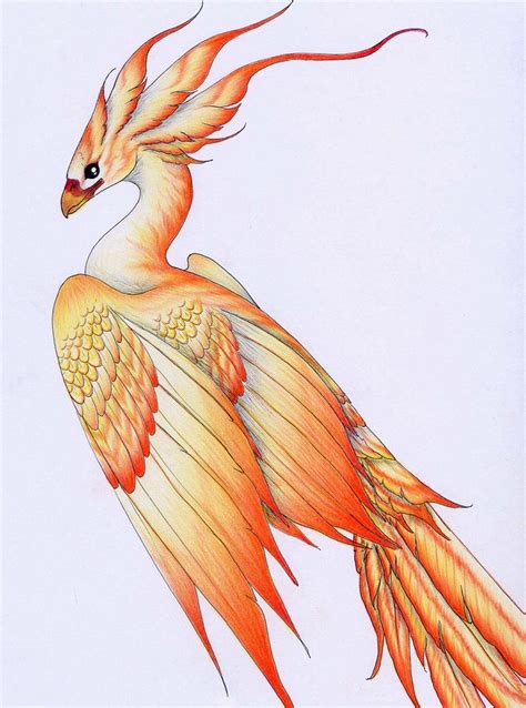 Firebird By Verreaux On Deviantart Bird Drawings Fantasy Art Drawings