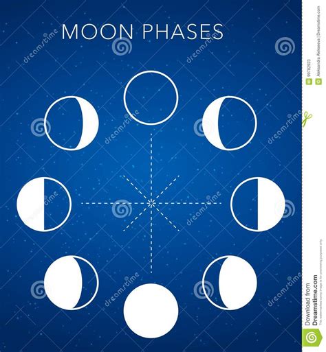 Moon Phases Vector Background Stock Vector Illustration Of Movement