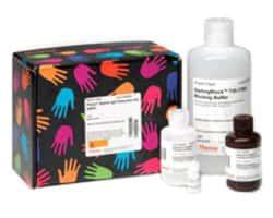 Target Specific Western Blot Kits Fisher Scientific