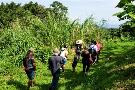 Favoriser Linsertion Professionnelle Travers Des Portes Ouvertes Cap Nord Martinique