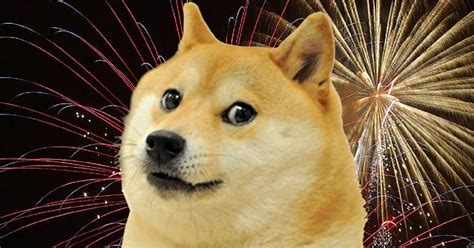 В tiktok прорекламировали криптовалюту doge. 'Doge' Voted 'Meme of The Decade' - National File