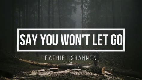 Won't let go (say won't, say won't go). Say You Won't Let Go Lyrics - Raphiel Shannon - YouTube