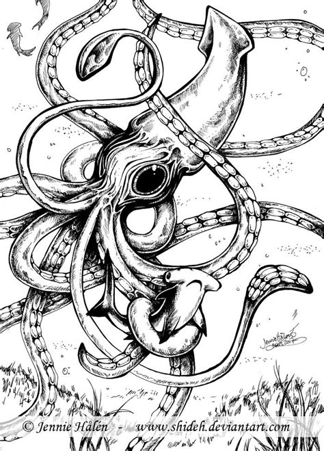 giant squid squid drawing giant squid drawings