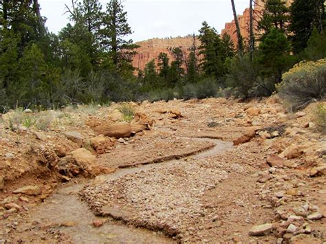 Yellow Creek Crossing Photos Diagrams And Topos Summitpost