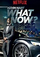 Kevin Hart: What Now? - película: Ver online en español