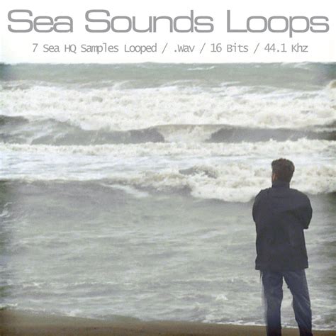 Sea Sounds Loops Free Download Audio Wanderer