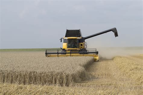 Free Images Field Wheat Grain Prairie Food Crop Agriculture