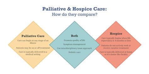 Palliative Care Meaning Vs Hospice Virgina Berlin