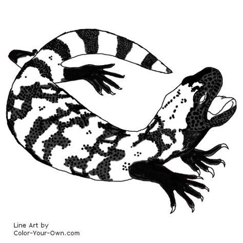 Gila Monster Coloring Page