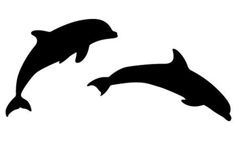 Two Dolphins Jumping In The Air With Their Tails Curled Up And One