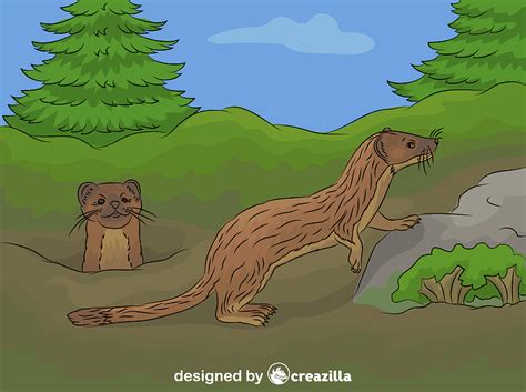 Long Tailed Weasel Vector Free Download Creazilla