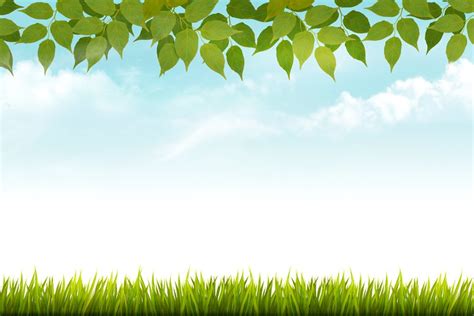 Nature Spring Background With Grass Custom Designed