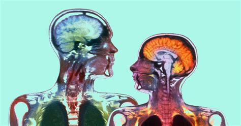 Mens And Womens Brains Appear To Age Differently