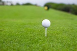 Palla Da Golf Sul T in Un Bello Club Di Golf Fotografia Stock ...