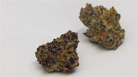Purple Punch Why Colorado Tokers Love This Strain Westword