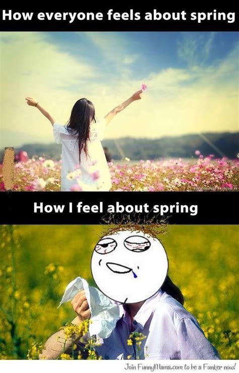 Hayfever Ruins Spring Allergies Funny Funny Pictures
