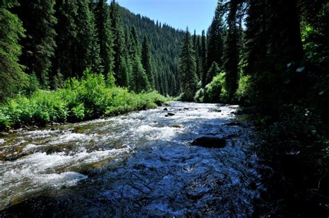 North Fork Of Clearwater River Idaho Fly Dreamers
