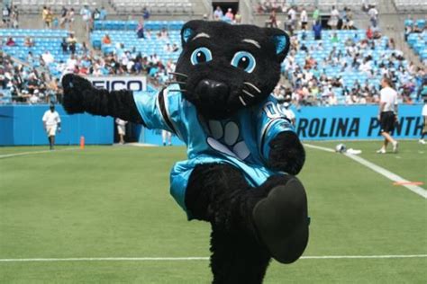 Sir Purr Es La Mascota Oficial De Las Carolina Panthers Los Ha