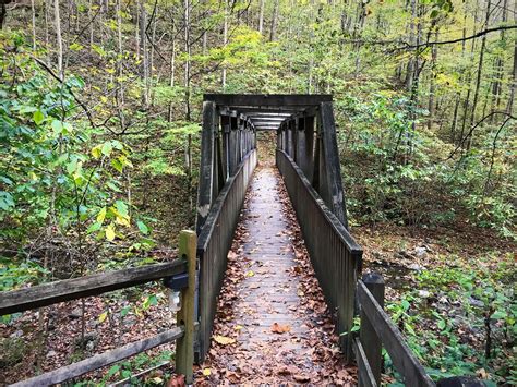 This Short And Sweet Fall Hike In Virginia Makes For A Perfect Day Trip