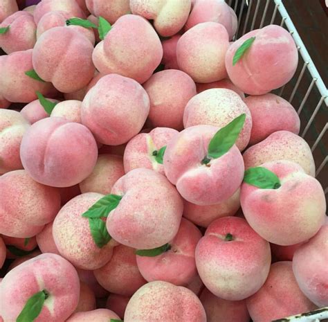 Pin By Barbara Sanches On Background Peach Aesthetic Pink Aesthetic