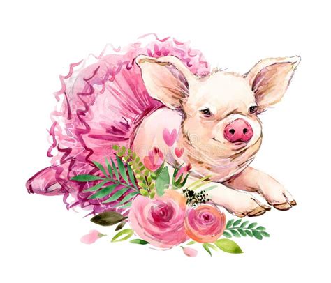 Cute Pig Watercolor Illustration Stock Illustration Illustration Of