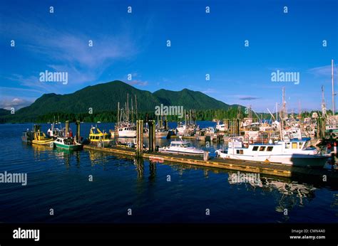 Tofino Harbour Docks Tofino Vancouver Island British Columbia