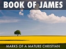 BOOK OF JAMES (11) by Steve Minor