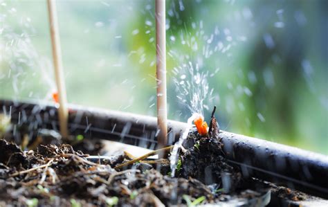 Drip Irrigation System Buying Guide