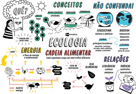 Mapa Mental Ecologia Descomplica Biologia
