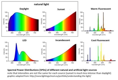 Natural Light Versus Artificial Light Sunlight Inside