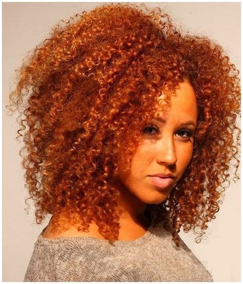 This auburn hair color on the black base seems natural yet dramatic! 2016 Natural Hairstyle Ideas for Black Women | Haircuts ...