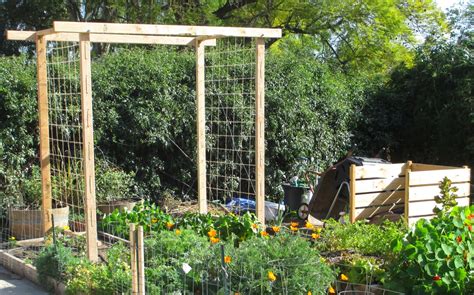 Andies Way Trellis Ideas For Tomatoes Cucumbers Beans Peas Melons