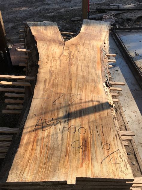 Large Wood Slabs Long Wood Slabs Nine Foot Wood Slabs Maple Etsy