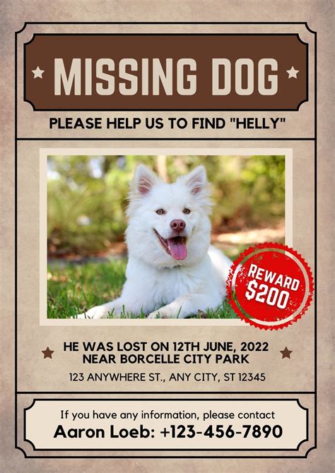 Missing Dog Poster