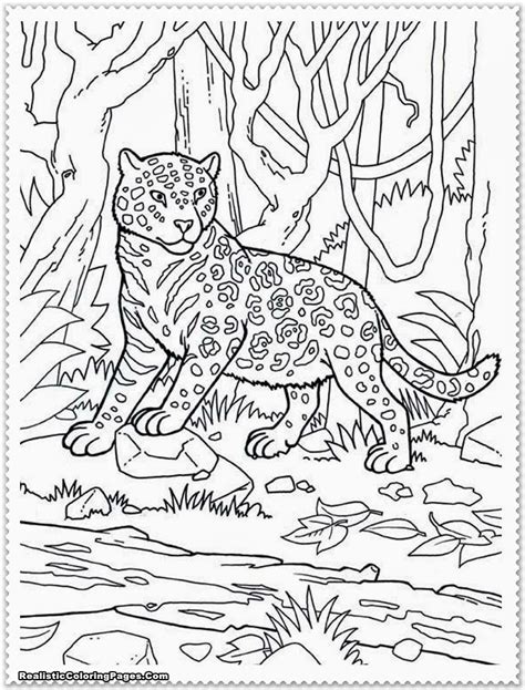 Realistic Jungle Animal Coloring Pages Realistic Coloring