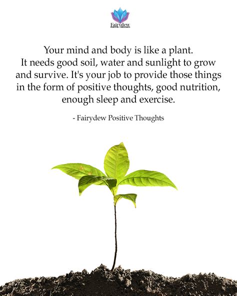 Your Mind And Body Is Like A Plant It Needs Good Soil Water And