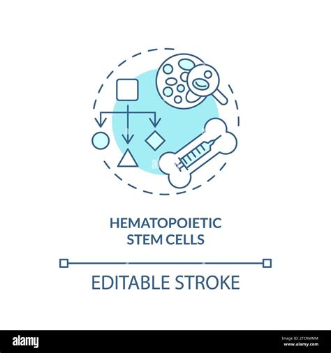 Thin Line Blue Hematopoietic Stem Cells Icon Concept Stock Vector Image