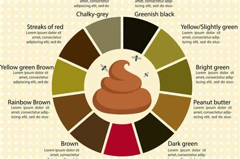 Top Bristol Stool Color Chart The Ultimate Guide Stoolz