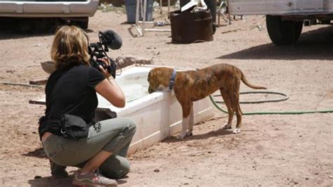 Dogtown National Geographic Best Friends Animal Society Save Them All