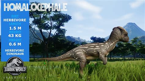 Homalocephale Jurassic World Evolution Youtube